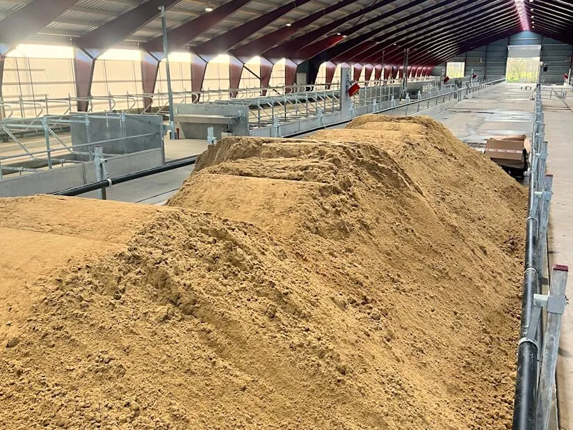 Sand til sengebåse læsset af i stalden